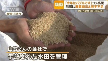 「今年はバブルです」コメ高騰　現場は廃業続出＆若手不足　燃料代高騰「毎日8万円」