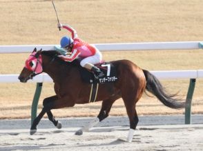 サンデーファンデーは武豊とのコンビでシリウスSへ