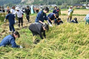 復興へ力贈ります　被災地支援米、兵庫の高校生らが稲刈り