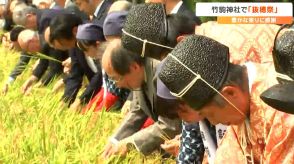 「今年の収穫に感謝して奉献」竹駒神社『抜穂祭』御神田に実った稲穂を1本ずつ丁寧に抜き取る　宮城・岩沼市