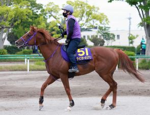 【注目馬動向】ウインカーネリアンが予定していたスプリンターズＳを回避　次走はスワンＳを三浦皇成騎手で予定