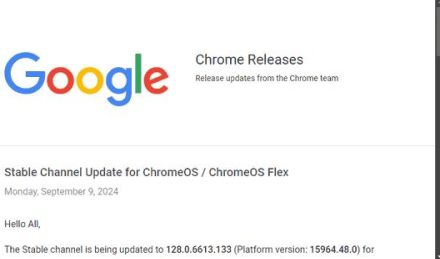 ChromeOS 128に複数の脆弱性 ～「Google Chrome」に存在したゼロデイ脆弱性も