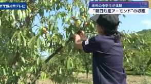 【山形】アーモンドの収穫を地元の中学生が体験