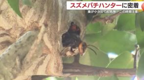 巣が小さくても危険!スズメバチハンターに密着　これからの季節は垣根や軒下にも注意「近づかずプロに連絡を」