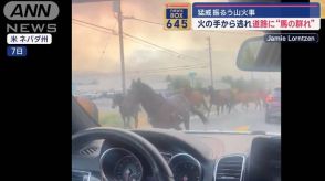 火の手から逃れ道路に“馬の群れ”　猛威振るう山火事　アメリカ