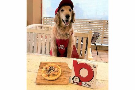 ピザーラ、愛犬も一緒に楽しく食べられるピザ「わんこピザ テリヤキチキン」全国で販売開始