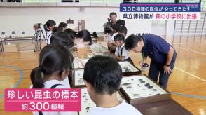 【山口】県立博物館が萩市の小学校に出張！300種類もの昆虫にワクワク