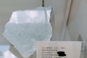 大学に展示された「天然記念物」が話題に　想像の斜め上を行く解説に思わず目を疑う