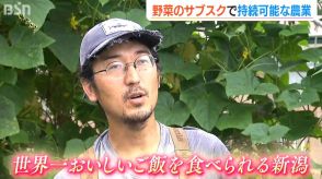 「世界一おいしいごはんを食べられる新潟をつくる」 “野菜のサブスク”で農家と消費者がともに“未来の農業”を目指して