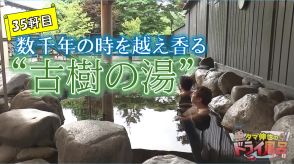 駅から車でわずか5分で大自然！数千年前の樹木が令和に香る“古樹の湯”とは？【青森県の温泉・銭湯へドライ風呂】