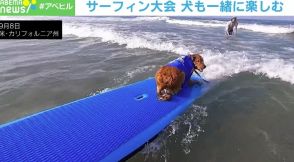 後ろ乗りでサーフィンする犬も…動物保護施設による大会が話題 アメリカ