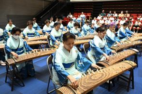 箏の日（くとぅの日）　柔らかな音色、100人が演奏　沖縄