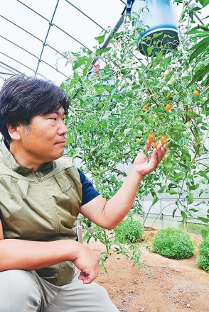 バケツつるして野菜空中栽培　スペース活用し多品目　横浜市の農家