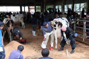 金丸さん（宮崎市）最優秀賞　九州・沖縄地区牛削蹄競技大会　宮崎県勢４人 １１月全国大会へ