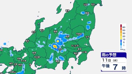 関東甲信では11日昼過ぎから夜遅くにかけて“バケツをひっくり返したような”激しい雷雨の恐れ　“警報級大雨”となる可能性も【12日（木）午後9時までの雨のシミュレーション・11日午前11時更新】