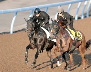 【セントライト記念】皐月賞２着馬はＷコースで鋭く先着　加藤士調教師「いい調教ができた」