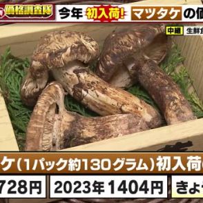 初入荷の秋の味覚の代表格「マツタケ」価格は平年並み　ニンジンは出荷量安定し、仕入れ価格が値下がり