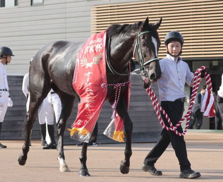 【注目馬動向】京成杯オータムＨを制したアスコリピチェーノは放牧へ　１着賞金５億円の豪ゴールデンイーグル目指す