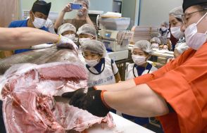 京都の海は、クロマグロが育つほど豊か　京都市子どもたちが「舟屋の町」で学ぶ