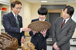 悠仁さま “トンボTシャツ” で高校最後の文化祭に参加…チュロスも焼き鳥も満喫