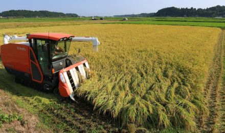 品薄と高騰のコメ　自給率100％でも供給混乱、食料安保へ不安　農政転換の機運高まらず