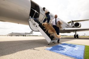 世界初の犬用エアラインが就航！ 愛犬にも快適な空の旅をおもてなし