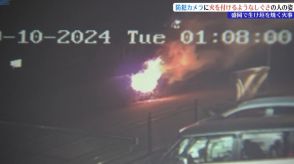 放火か?防犯カメラに火をつけるような人の姿　盛岡市の住宅で生け垣が燃える火事　周辺住民は不安募らせる　警察は放火事件とみて捜査　岩手