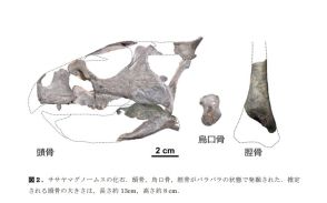 【新種の恐竜】ササヤマグノームスの復元画が「めっちゃかわいい」とSNS盛り上がる。イラストレーターに理由を聞いてみた