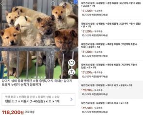 正気か？韓国ネット販売に「生きた犬」出品、宅配便で配送も…非難の嵐