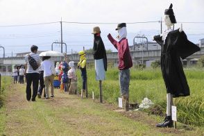 パリ五輪や新紙幣、朝ドラゆかりも…海老名で恒例、ユニークかかしお目見え