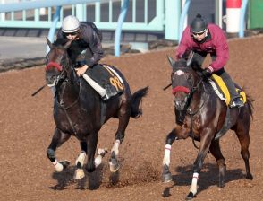 【セントライト記念】エコロレイズ気持ちに余裕　Wコースで馬なり併入