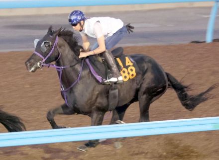 【セントライト記念】ルカランフィースト馬なりで自己ベスト　半馬身遅れも鹿戸師「いい稽古になった」