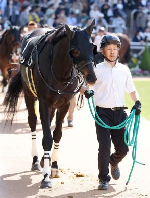 ザメイダン気合つけ11秒７　苦手な夏を休養しリフレッシュ効果／阪神JS