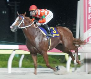 【大井競馬・アフター５スター賞（１１日）】エンテレケイア重賞連勝　吉原寛人騎手「充実期に入っている」