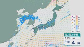 関東甲信は引き続き12日も「急な雷雨」で1時間に50ミリのところも 土砂災害などに警戒を 雨と風シミュレーション