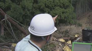 台風10号 5人死傷の土砂崩れはなぜ発生?気になる“伐採”との関係は?「崩れた一番上が皆伐されたエリアと一致」専門家が独自調査　愛知・蒲郡市