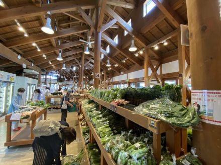 大人気の道の駅『川場田園プラザ』幻のお米「雪ほたか」の“おにぎり”に舌鼓を打つ!　親子で体を動かすのに最適な「天空のアスレチック」も!