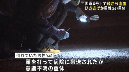 ひき逃げか　６６歳の男性重体　国道４号で頭から血を流して倒れる　（福島）