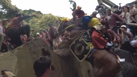 「上げ馬神事」動物愛護法違反の疑いで氏子組織の関係者を書類送検へ 馬を興奮させる目的でたたいたり蹴ったりした疑い