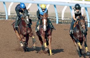 【セントライト記念】アーバンシックが３頭併せの最内から１１秒２で先着　石神深一騎手「すごくいい馬」