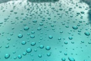 雨上がりの水滴はクルマのボディの天敵です…日射しが強い日はとくに塗装にダメージを与えてしまうので早めの拭き上げをオススメする理由を解説します