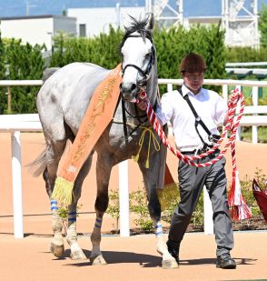 京都ハイジャンプで重賞初制覇サンデイビスが右前浅屈腱炎!９カ月以上の休養要する見込み