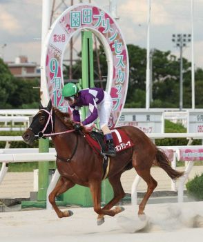 【園田競馬　スポニチ賞園田プリンセスC】リオンダリーナ5馬身差圧逃！　遠征勢が上位を独占