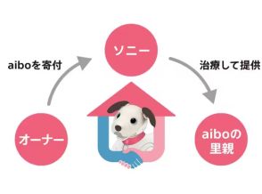 ソニー、「aiboの里親プログラム」第2期の寄付募集を開始--医療施設や介護団体に提供