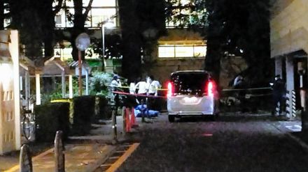 木の枝が落下し、歩道の男性が巻き込まれ死亡　東京・日野