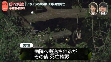 いちょうの木が倒れ下敷きに…30代男性死亡　東京・日野市