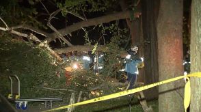 落ちてきた枝の下敷きに…男性死亡　東京・日野市の遊歩道