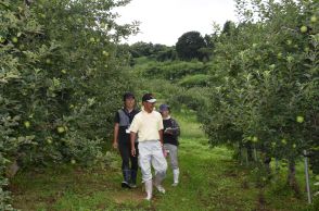 「畑がなくなる…」農家困惑　リンゴの木が腐る病気が収穫量国内2位の産地で拡大　発見遅れは致命的、過去には廃園続出…原因は