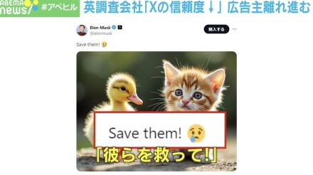 マスク氏がまた“虚偽拡散”「猫の画像」投稿の意図は？ 信頼低下で広告主は“Ｘ離れ”が急加速