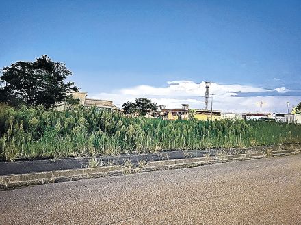 道の駅新湊周辺の外資系ホテル　２５年開業間に合わず　資材高騰で着工遅れ